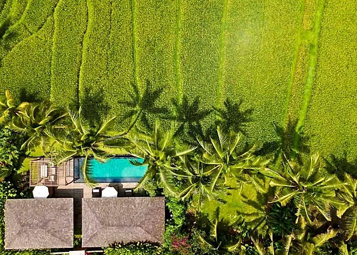 ホテル Entire 2 Bedroom Private Pool At Ubud
