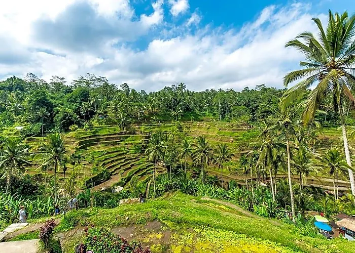 Entire 2 Bedroom Private Pool At Ubud ホテル 5*